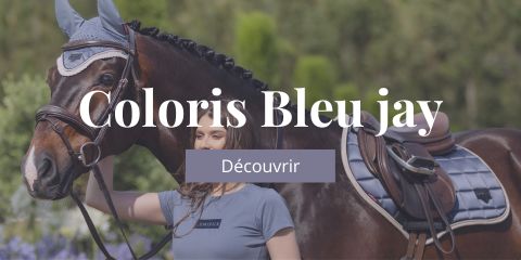 Lemieux Bleu Jay